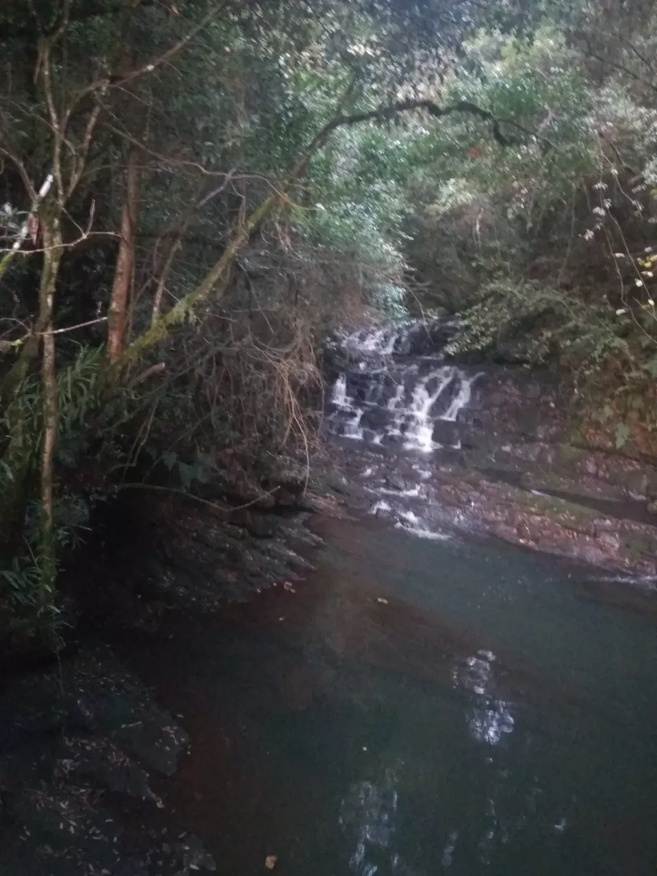 Photo of Cloud-Surfing Instead of Couch-Surfing: Meghalaya through the Eyes of a Couch Potato by Neeti Chopra