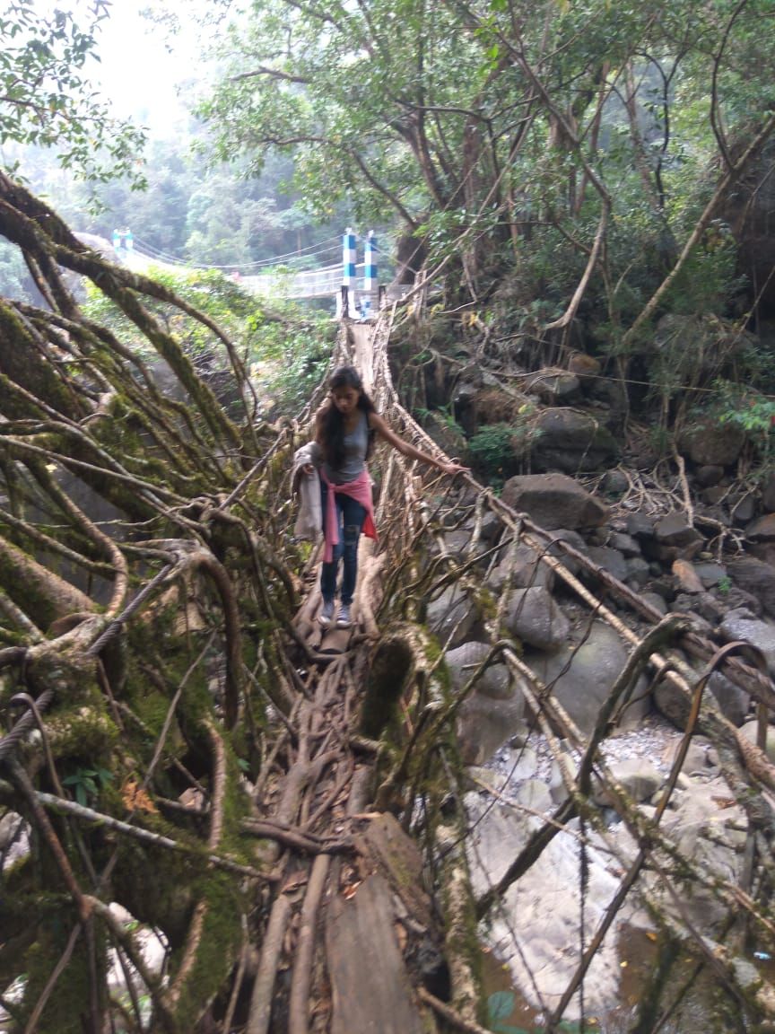 Photo of Cloud-Surfing Instead of Couch-Surfing: Meghalaya through the Eyes of a Couch Potato by Neeti Chopra