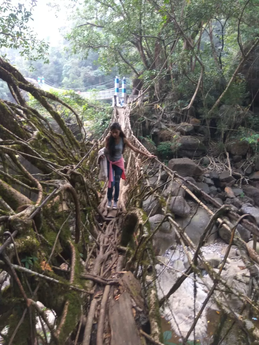 Photo of Cloud-Surfing Instead of Couch-Surfing: Meghalaya through the Eyes of a Couch Potato by Neeti Chopra