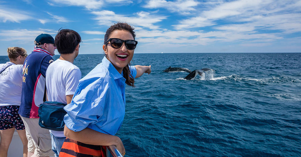 Photo of Find your perfect next Queensland holiday with Singapore Airlines 10/12 by Neeti Chopra