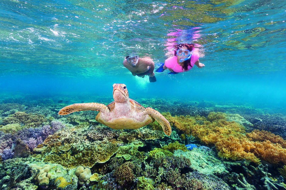 Photo of Find your perfect next Queensland holiday with Singapore Airlines 5/8 by Neeti Chopra
