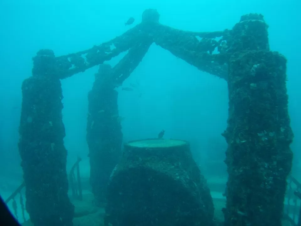 Photo of Neptune Memorial Reef, Miami, FL, USA by Neeti Chopra