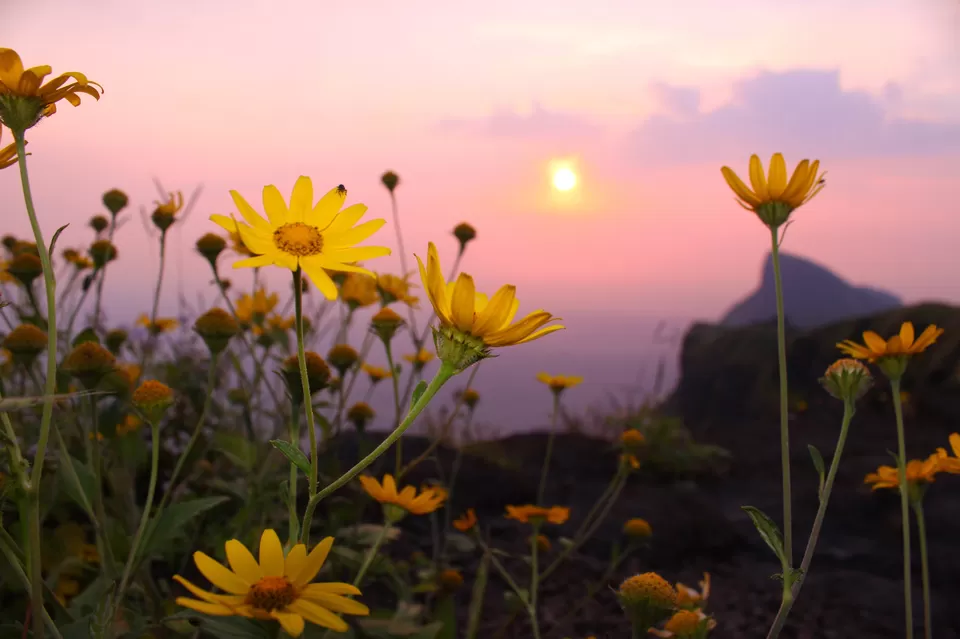 Photo of The Cool New Way to Budget Travel – Pack Your Bags and Head to the Hills! by Neeti Chopra