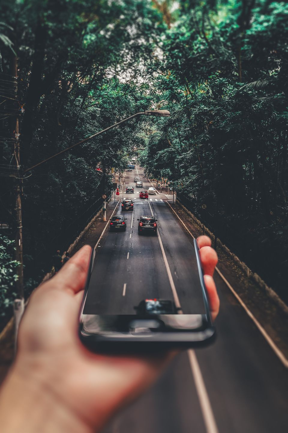 Photo of The Cool New Way to Budget Travel – Pack Your Bags and Head to the Hills! 1/2 by Neeti Chopra