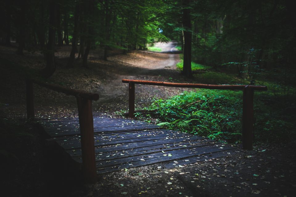 Photo of The Cool New Way to Budget Travel – Pack Your Bags and Head to the Hills! 2/2 by Neeti Chopra