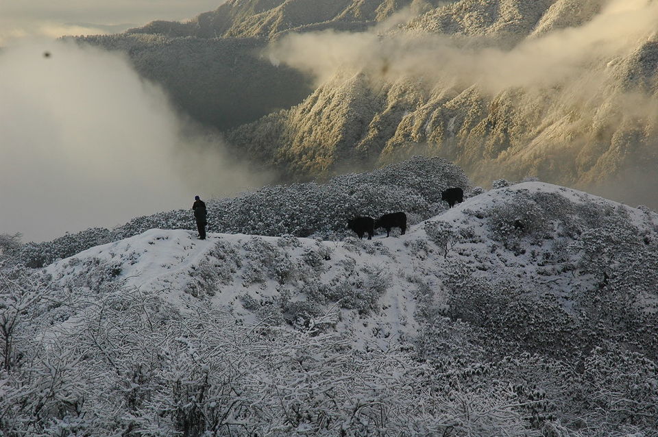 Photo of The Cool New Way to Budget Travel – Pack Your Bags and Head to the Hills! by Neeti Chopra