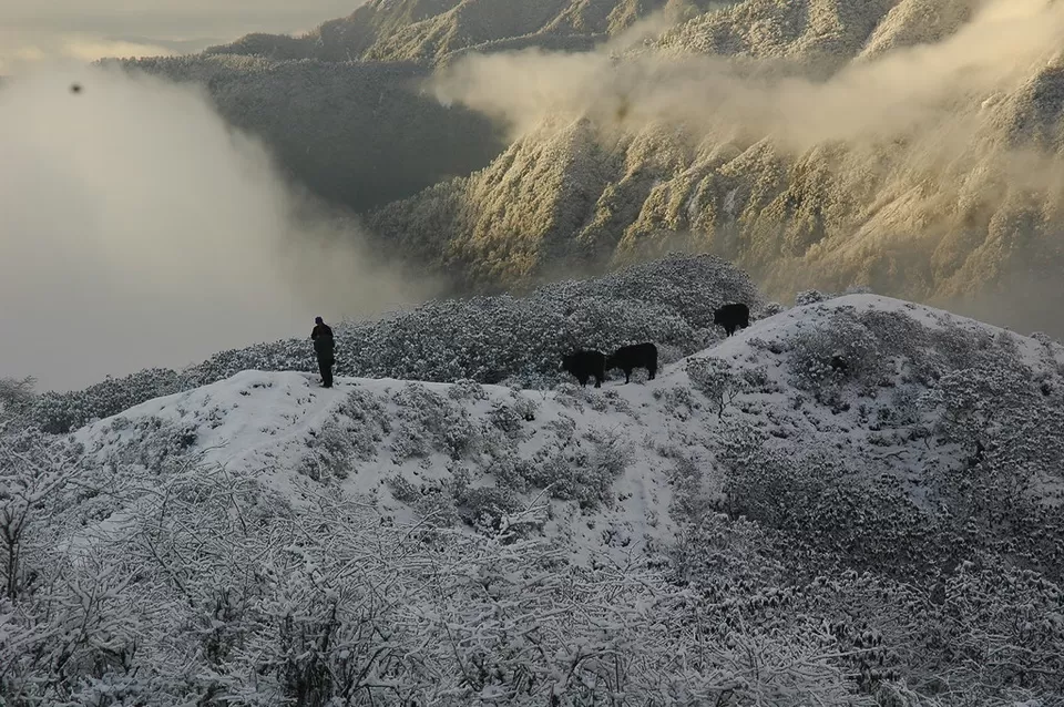 Photo of The Cool New Way to Budget Travel – Pack Your Bags and Head to the Hills! by Neeti Chopra