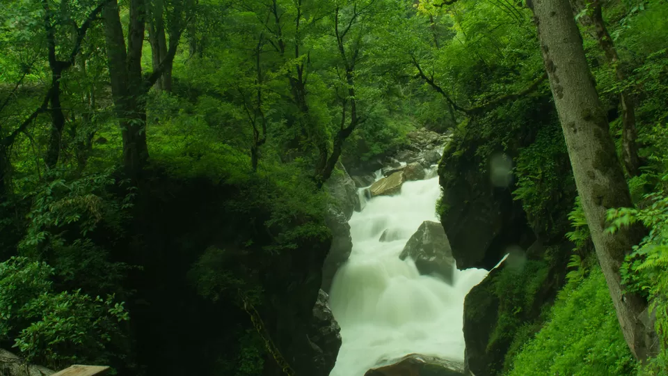 Photo of Kheer Ganga Trek, Khir Ganga, Himachal Pradesh, India by Neeti Chopra
