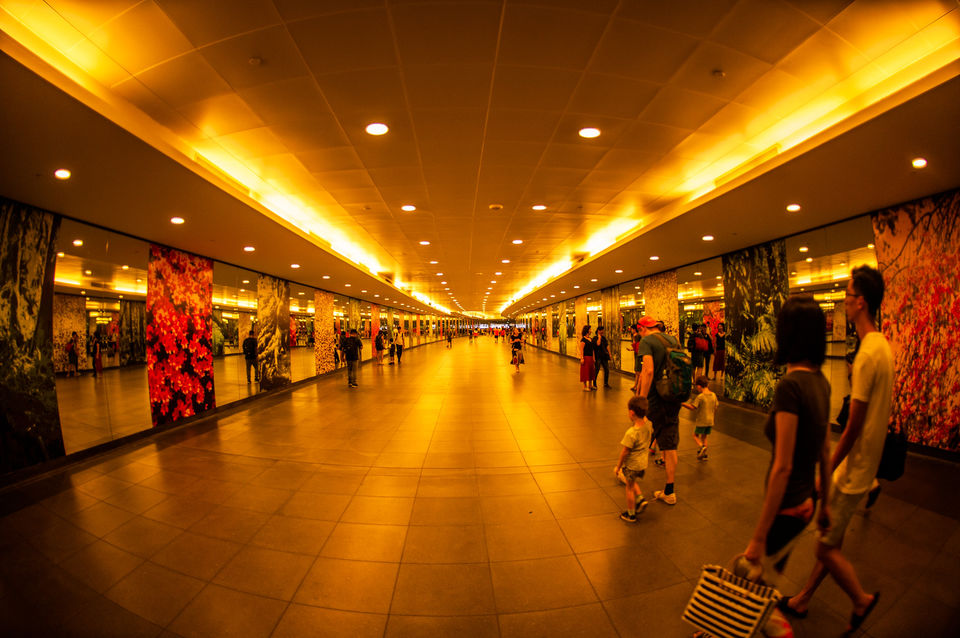 Photo of 10 Do's and Don’ts Every Curious Indian Traveller Needs to Know for a Great Trip to Singapore 5/17 by Neeti Chopra