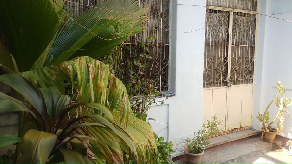 Photo of The Bittersweet Nostalgia of Spending Summers at Nani Ke Ghar 6/14 by Neeti Chopra