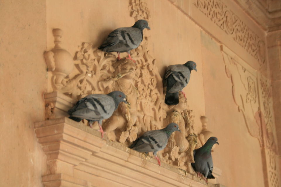 Photo of Here's How Rajasthan Celebrates Each Day with a Riot of Colours 2/10 by Neeti Chopra