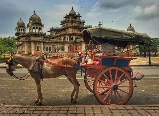 Photo of Here's How Rajasthan Celebrates Each Day with a Riot of Colours 1/10 by Neeti Chopra