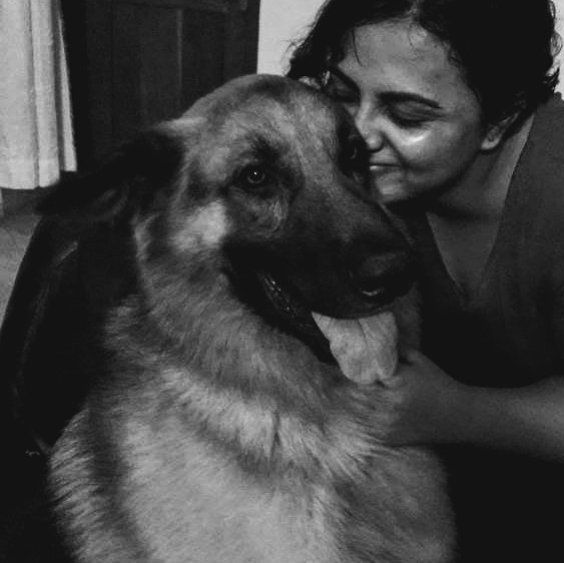 Photo of Pet Parents Unveil The Peeves Behind Pet Travel 11/17 by Neeti Chopra