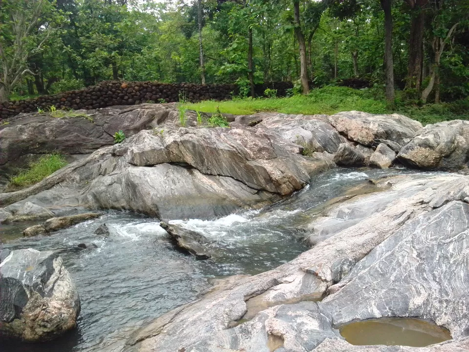 Photo of Pench National Park, Kurai, Madhya Pradesh, India by Neeti Chopra