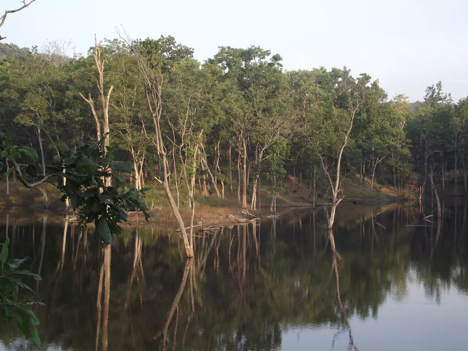 Photo of The National Park in India That Featured in Rudyard Kipling's Jungle Book by Neeti Chopra