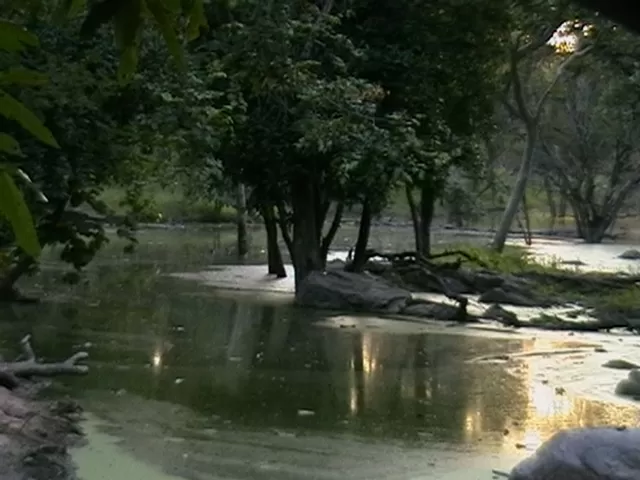 Photo of The National Park in India That Featured in Rudyard Kipling's Jungle Book by Neeti Chopra