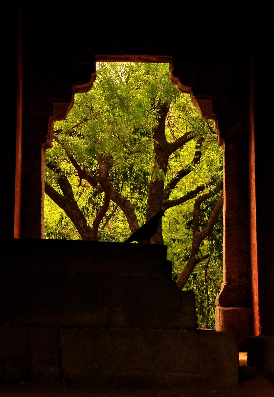 Photo of Deer Park, Hauz Khas, New Delhi, Delhi, India by Neeti Chopra