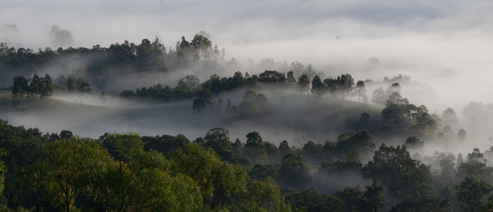 Photo of Charming Road Trips in Australia That Will Make You Get on the Road Stat 3/15 by Neeti Chopra