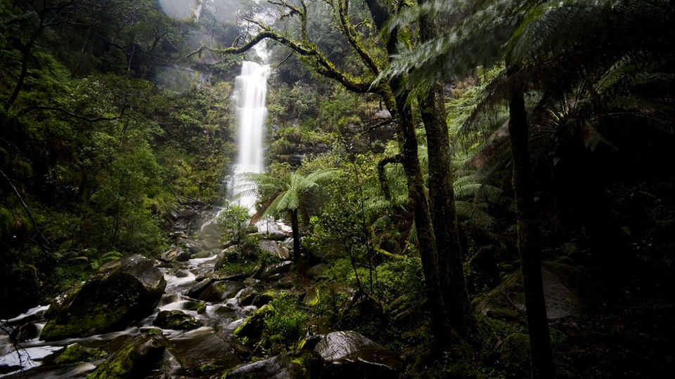 Photo of Charming Road Trips in Australia That Will Make You Get on the Road Stat 11/15 by Neeti Chopra