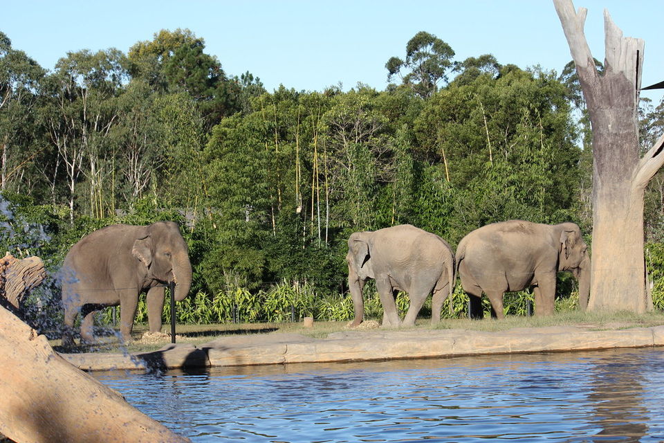 Photo of Charming Road Trips in Australia That Will Make You Get on the Road Stat 14/15 by Neeti Chopra