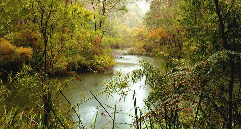 Photo of Charming Road Trips in Australia That Will Make You Get on the Road Stat 8/15 by Neeti Chopra