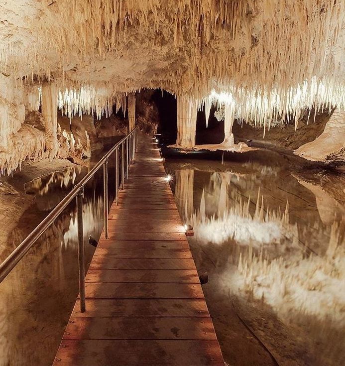 Photo of Charming Road Trips in Australia That Will Make You Get on the Road Stat 9/15 by Neeti Chopra