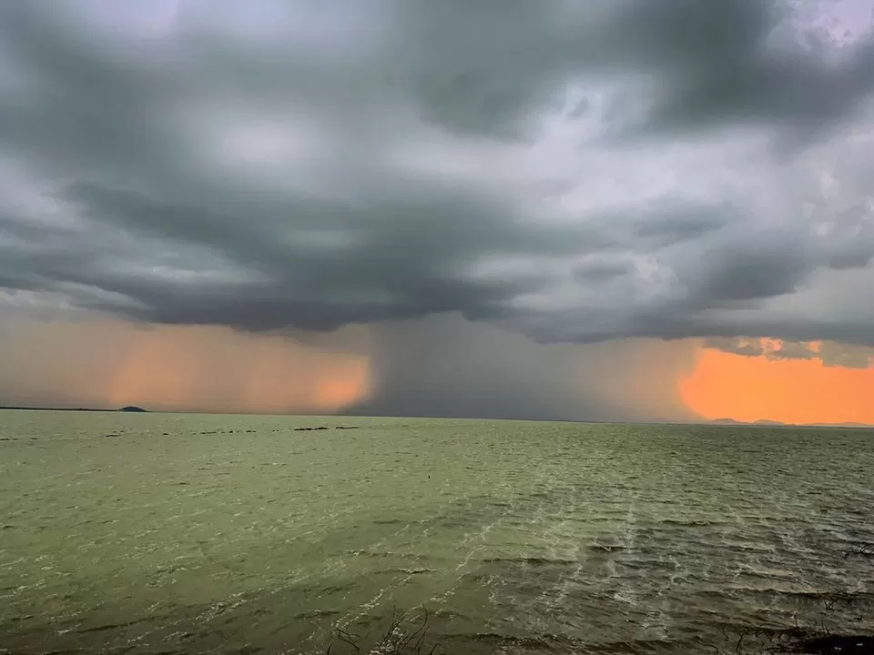 Photo of Sambhar Salt Lake, Rajasthan by Neeti Chopra