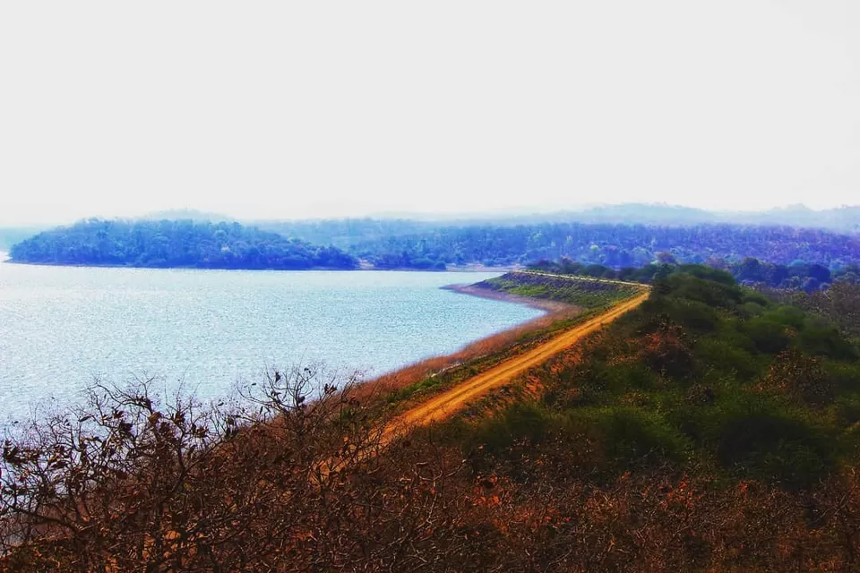 Photo of Gir Forest National Park, Gujarat, India by Neeti Chopra