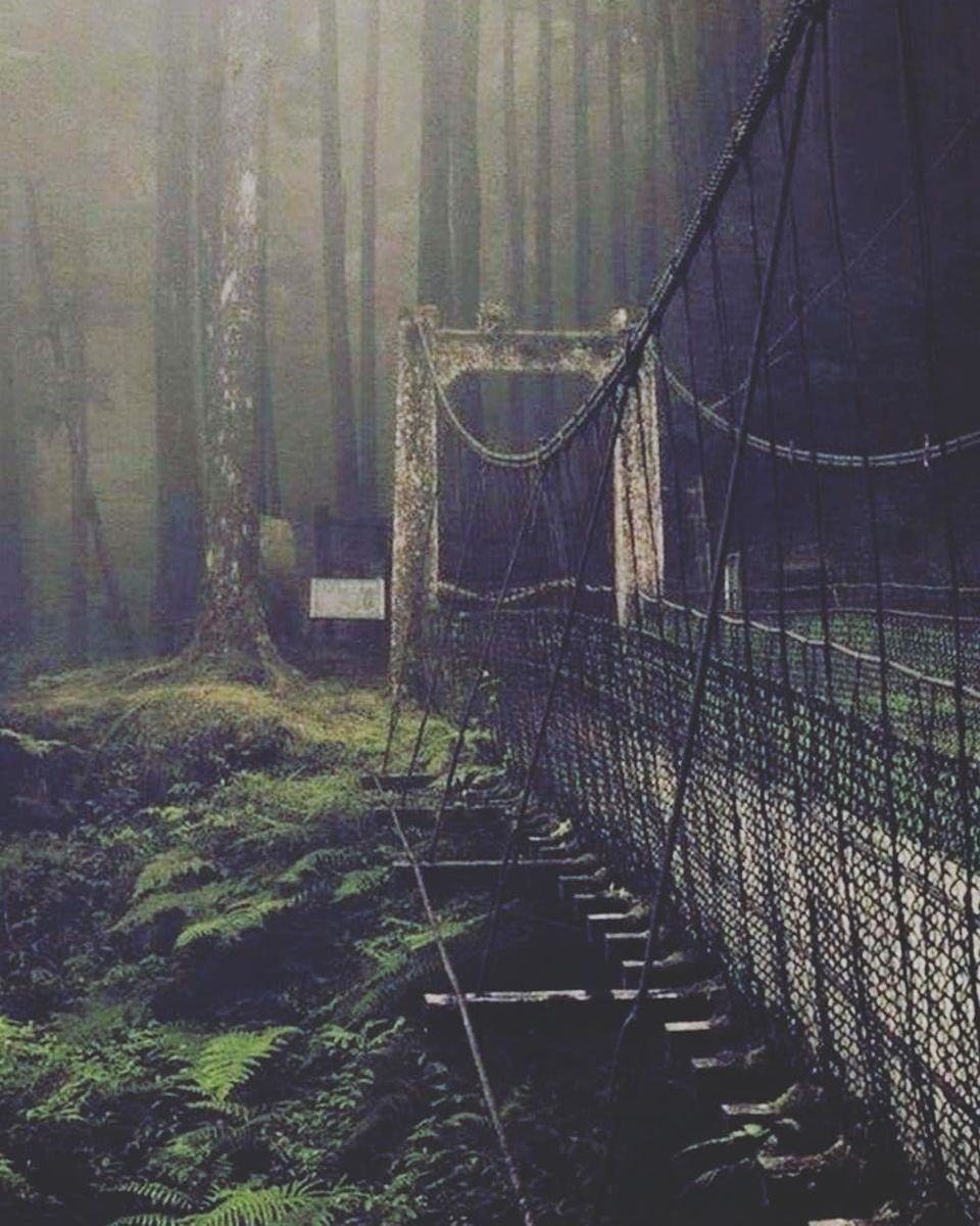 Photo of Terrifying True Stories Behind Haunted Places Around the World That Will Keep You up at Night by Neeti Chopra