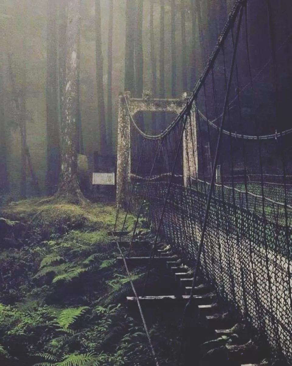 Photo of Terrifying True Stories Behind Haunted Places Around the World That Will Keep You up at Night by Neeti Chopra