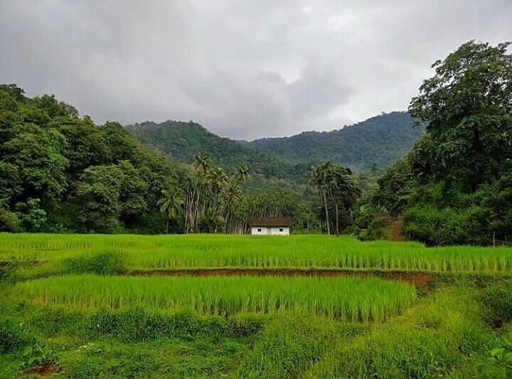 Photo of Cruise by the Bewitching Coastal Towns of Western Karnataka for a Road Trip Done Right 19/20 by Neeti Chopra