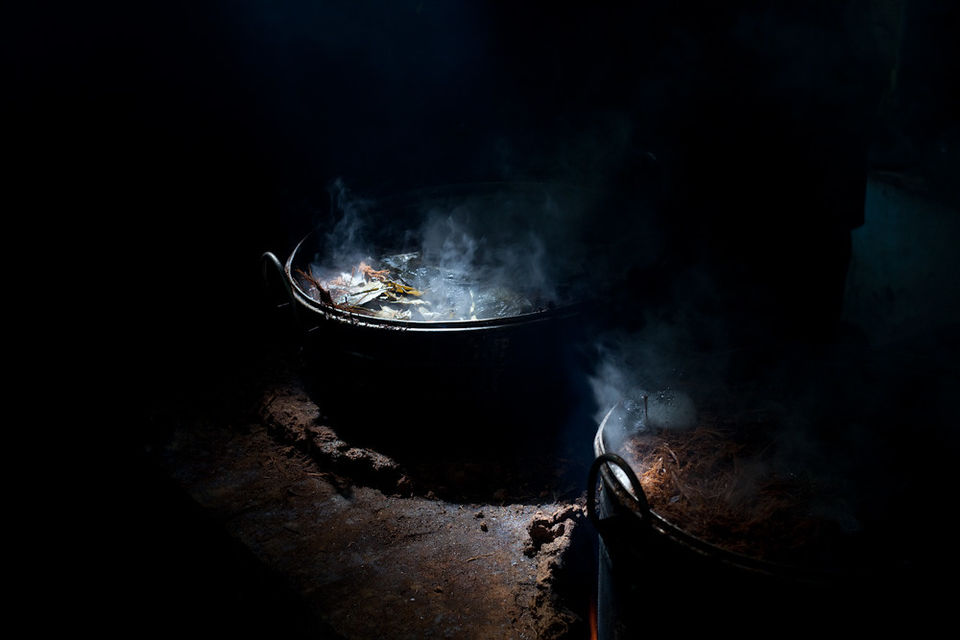Photo of Mysterious Intoxicants Hidden in Nature That You Probably Don't Know About 3/11 by Neeti Chopra