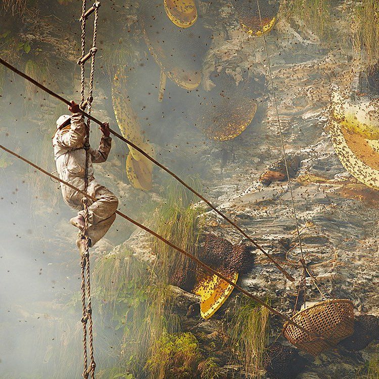 Photo of Mysterious Intoxicants Hidden in Nature That You Probably Don't Know About 10/11 by Neeti Chopra