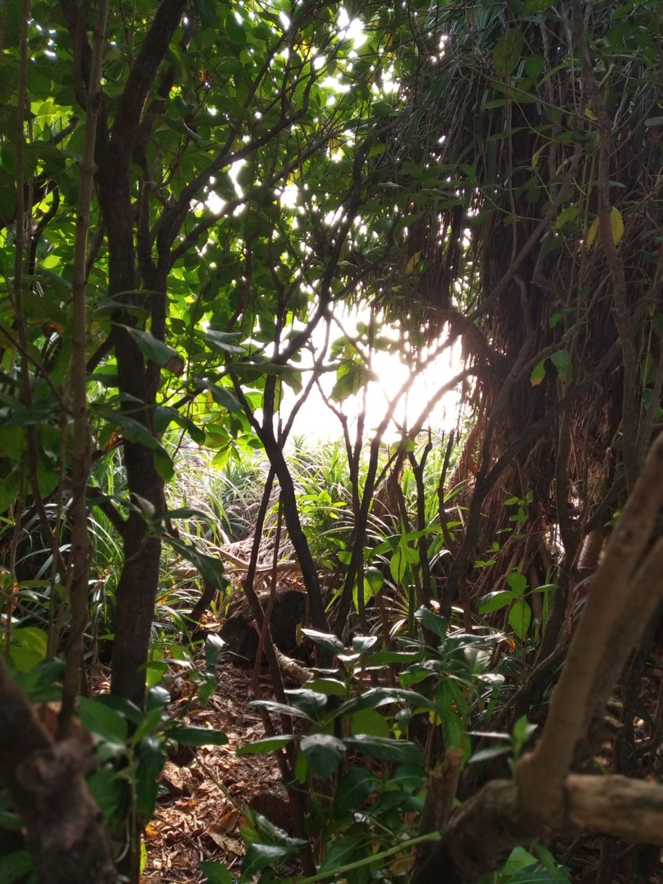 Photo of Bekkal fort #largest in kerala by Vithayathil Nima