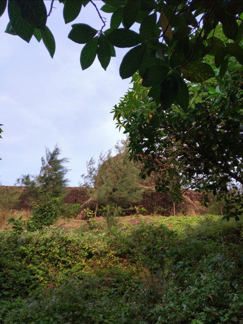 Photo of Bekkal fort #largest in kerala by Vithayathil Nima