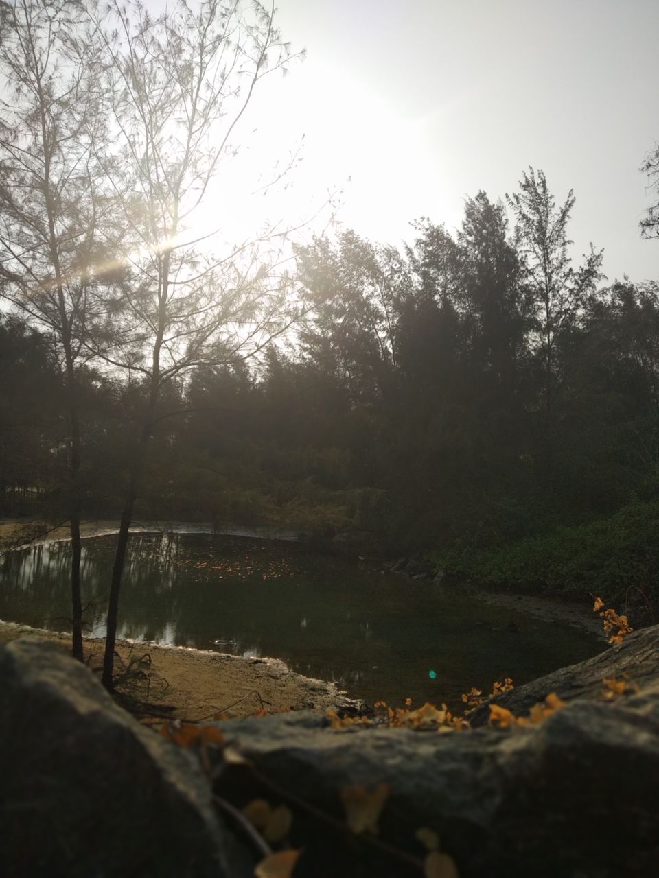 Photo of Mind soothening Evening getaway @kasargod by Vithayathil Nima