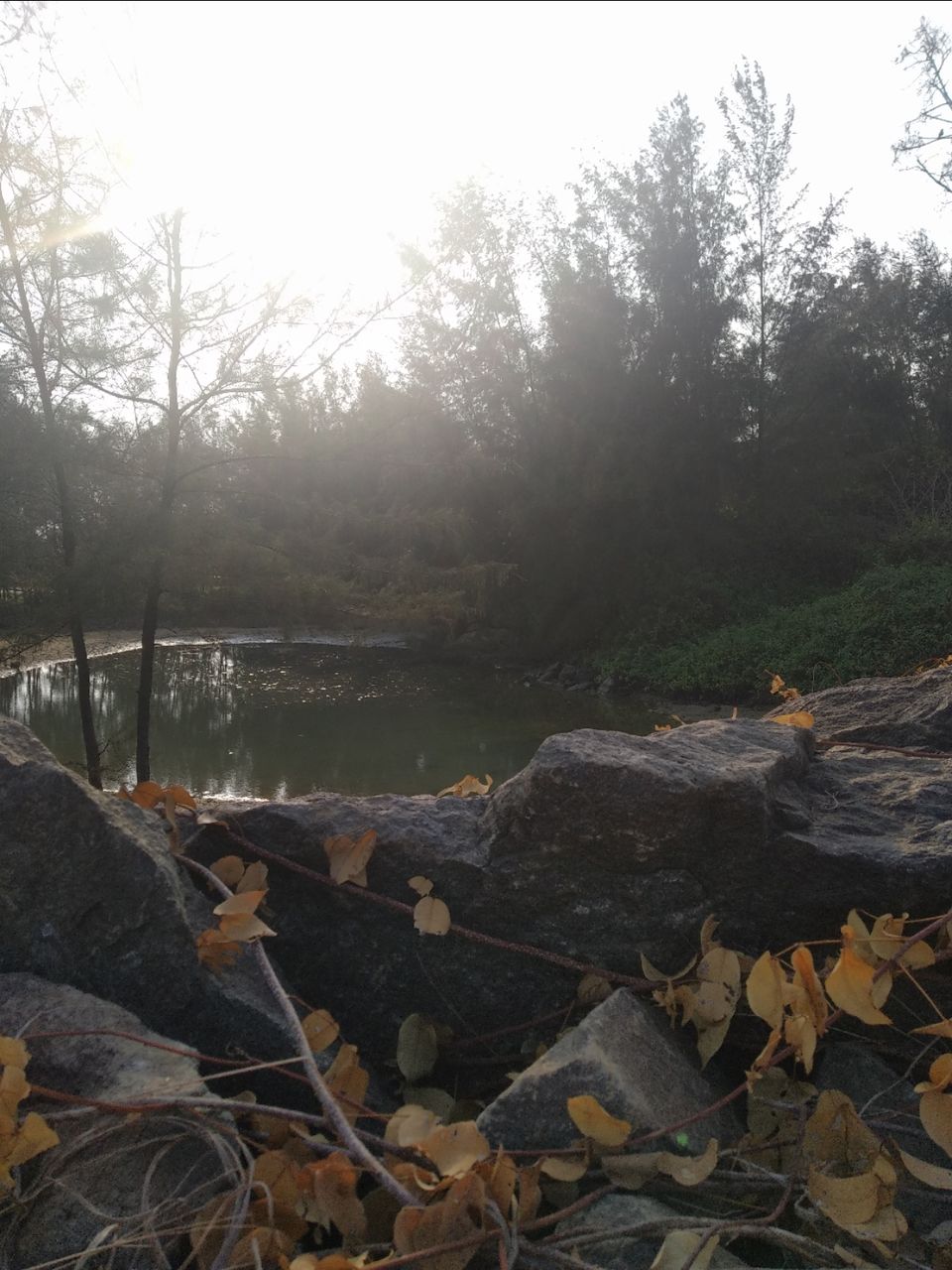 Photo of Mind soothening Evening getaway @kasargod by Vithayathil Nima