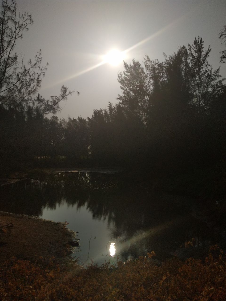 Photo of Mind soothening Evening getaway @kasargod by Vithayathil Nima