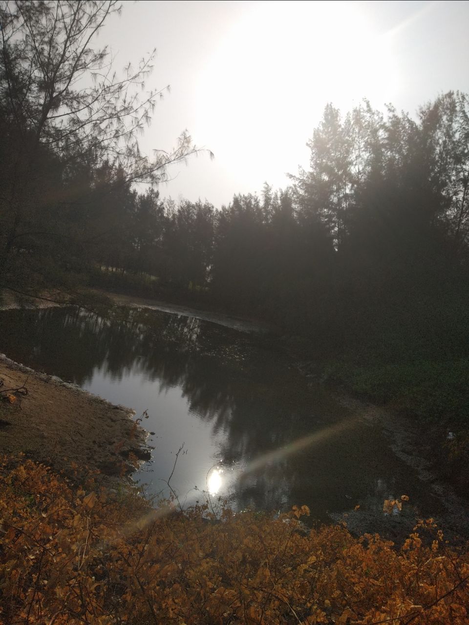 Photo of Mind soothening Evening getaway @kasargod by Vithayathil Nima