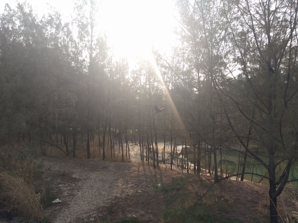 Photo of Mind soothening Evening getaway @kasargod by Vithayathil Nima