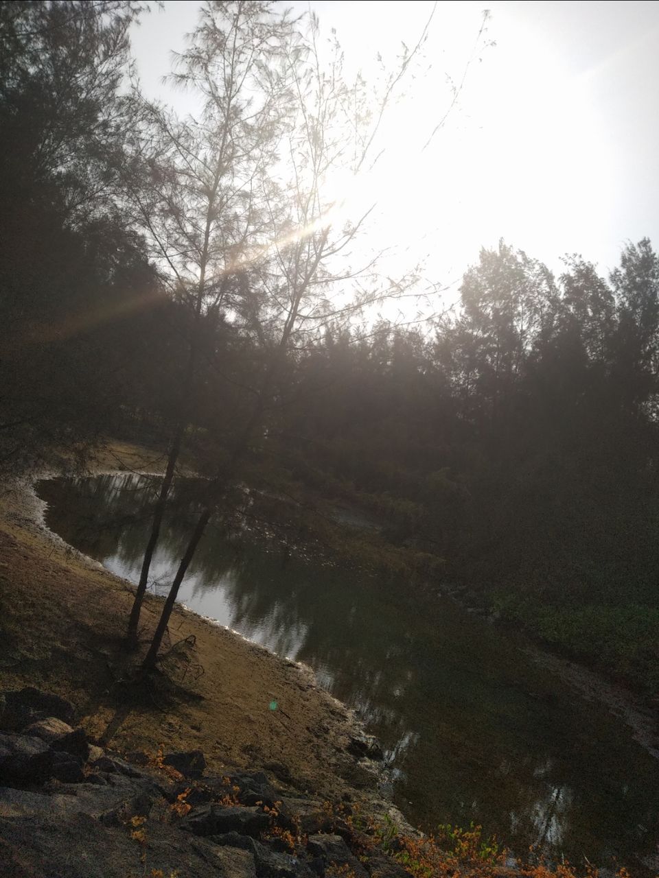 Photo of Mind soothening Evening getaway @kasargod by Vithayathil Nima
