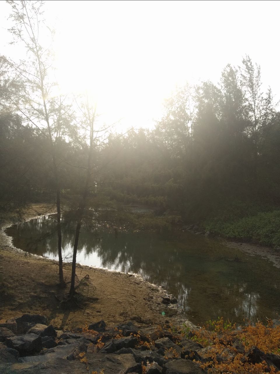Photo of Mind soothening Evening getaway @kasargod by Vithayathil Nima