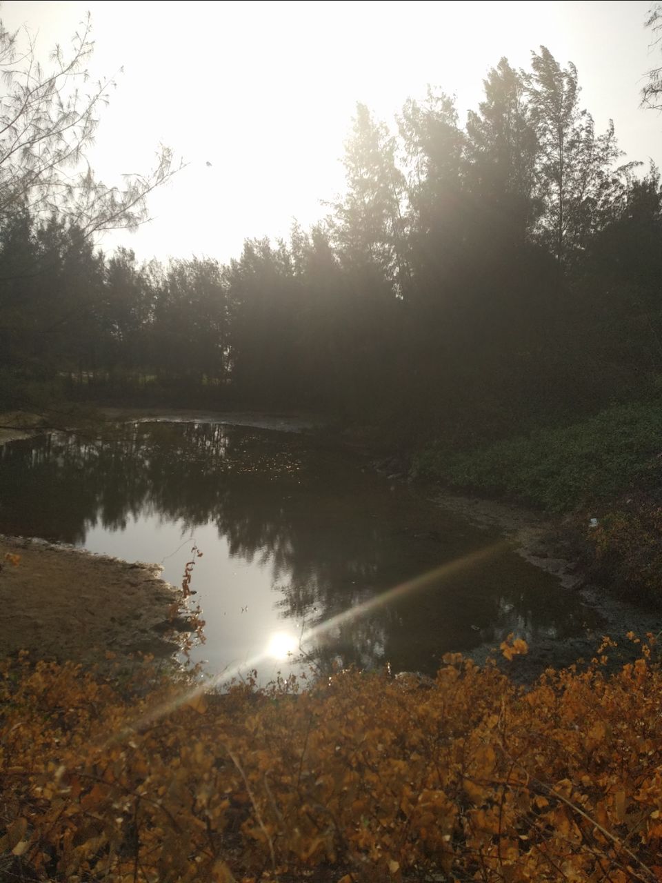 Photo of Mind soothening Evening getaway @kasargod by Vithayathil Nima