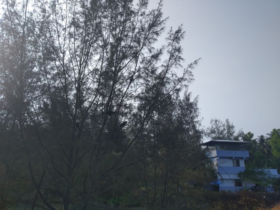 Photo of Mind soothening Evening getaway @kasargod by Vithayathil Nima