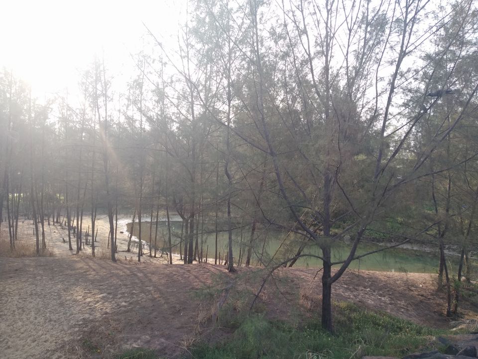 Photo of Mind soothening Evening getaway @kasargod by Vithayathil Nima