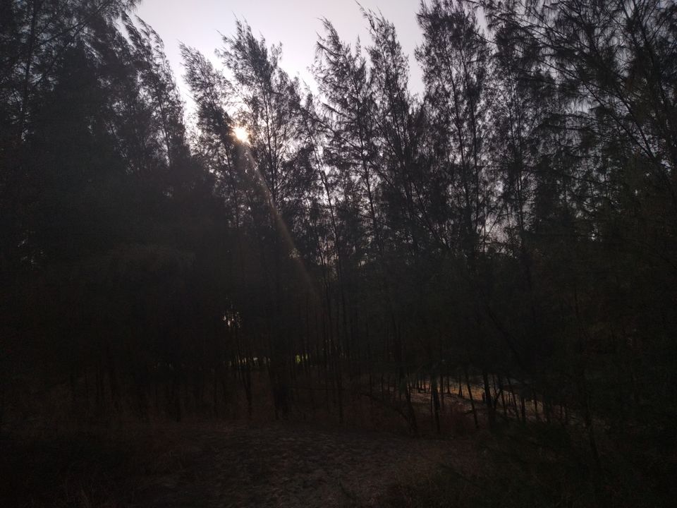 Photo of Mind soothening Evening getaway @kasargod by Vithayathil Nima