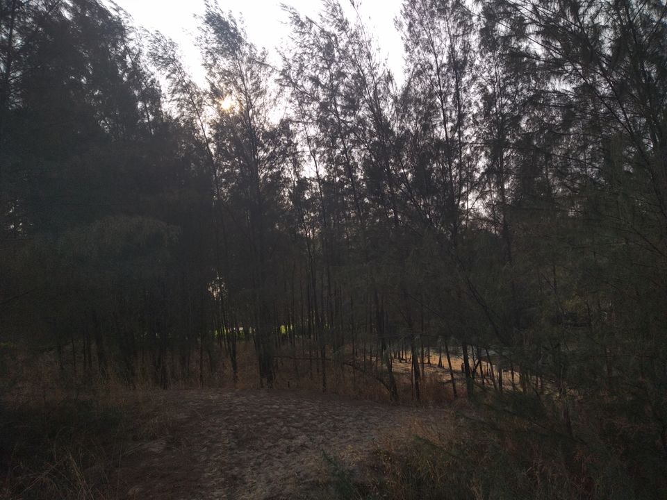 Photo of Mind soothening Evening getaway @kasargod by Vithayathil Nima