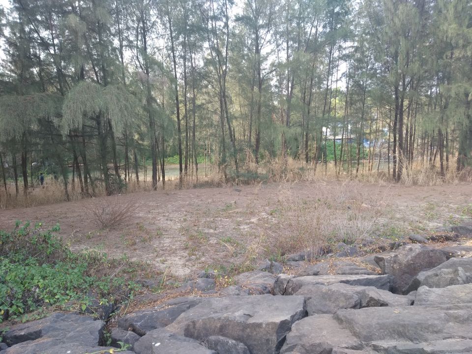 Photo of Mind soothening Evening getaway @kasargod by Vithayathil Nima
