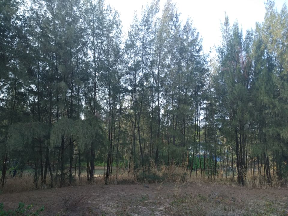 Photo of Mind soothening Evening getaway @kasargod by Vithayathil Nima
