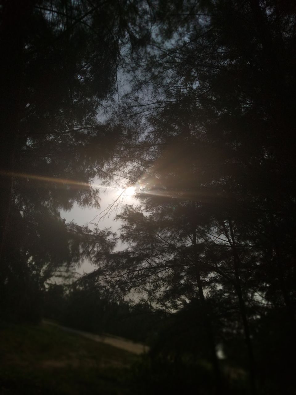 Photo of Mind soothening Evening getaway @kasargod by Vithayathil Nima